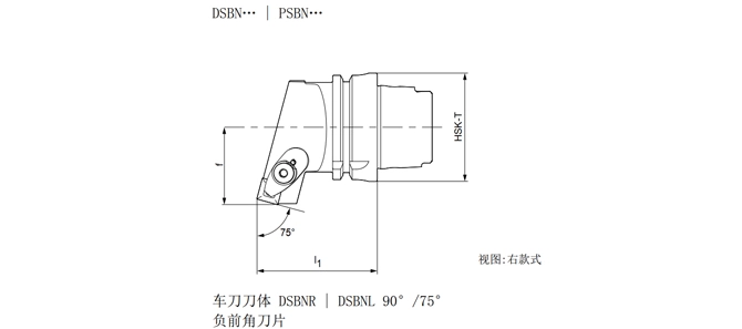 HSK-T torna aleti DSBNR özellikleri | DSBNL 90 °/75 °